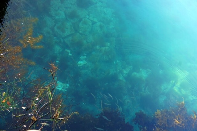 美しい青色の海中風景